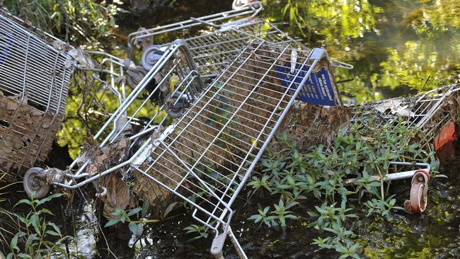 Dumped shopping trolleys are a common sight around Sydney.