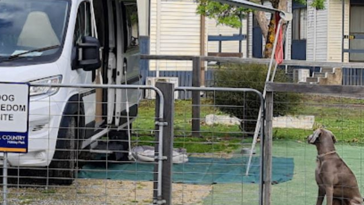 Dog enclosures clearance for caravans