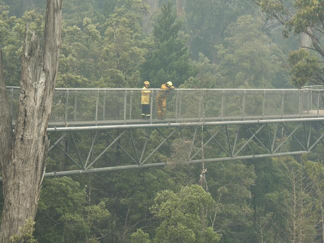 A.firefighting crews at Tahune Airwalk on Australia Day. Picture: WARREN FREY/TFS