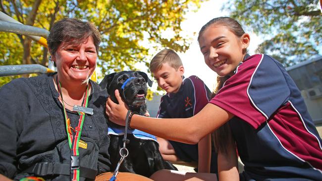 Chifley College Shalvey campus welcomes therapy dog to help students ...