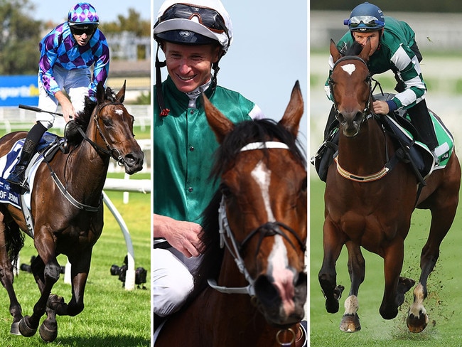 Queen Elizabeth Stakes hopefuls (from left) Pride of Jenni, Via Sistina and Place du Carrousel. Pictures: File