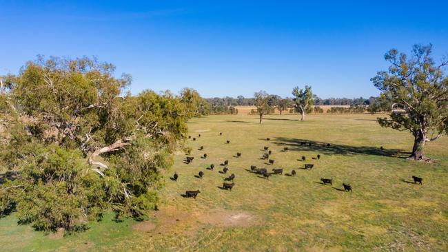 Riverina grazing farm Mayfield has been listed for sale.