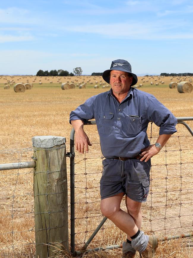 Graeme McCrow of Westmere. Picture: Yuri Kouzmin