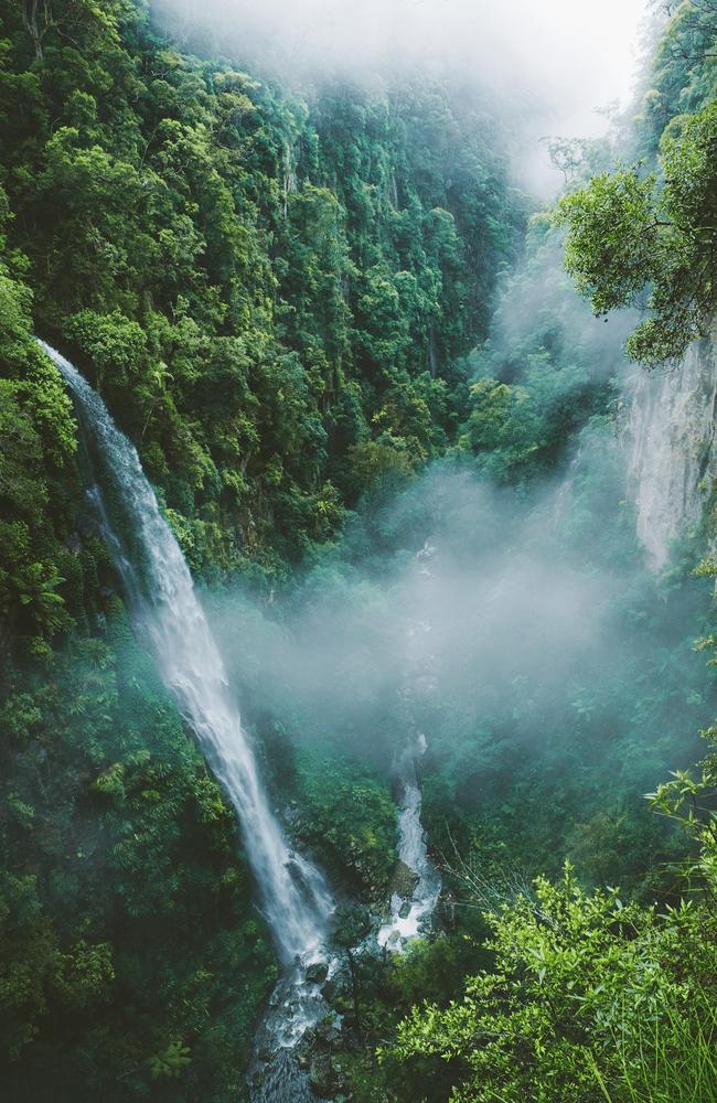 Lamington National Park: Coomera Falls. Picture: Harrison Candlin