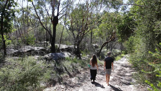 Council staff want councillors to reject the offer at Tuesday’s council meeting, to protect wildlife and bush.