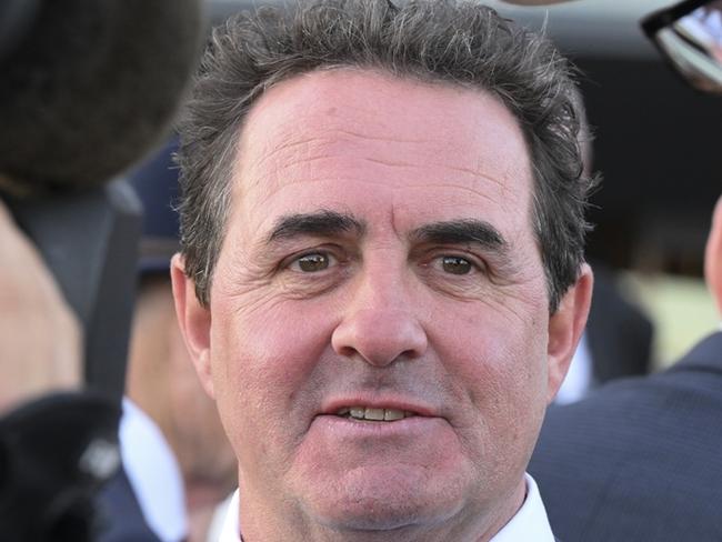 Wings Of Desire's trainer Michael Freedman. Picture: Bradley Photos