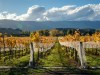Can I bring my own wine to New Zealand?