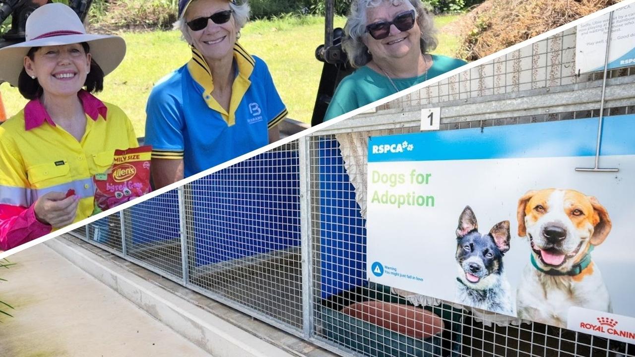 Council vows humane animal treatment as RSPCA exits region