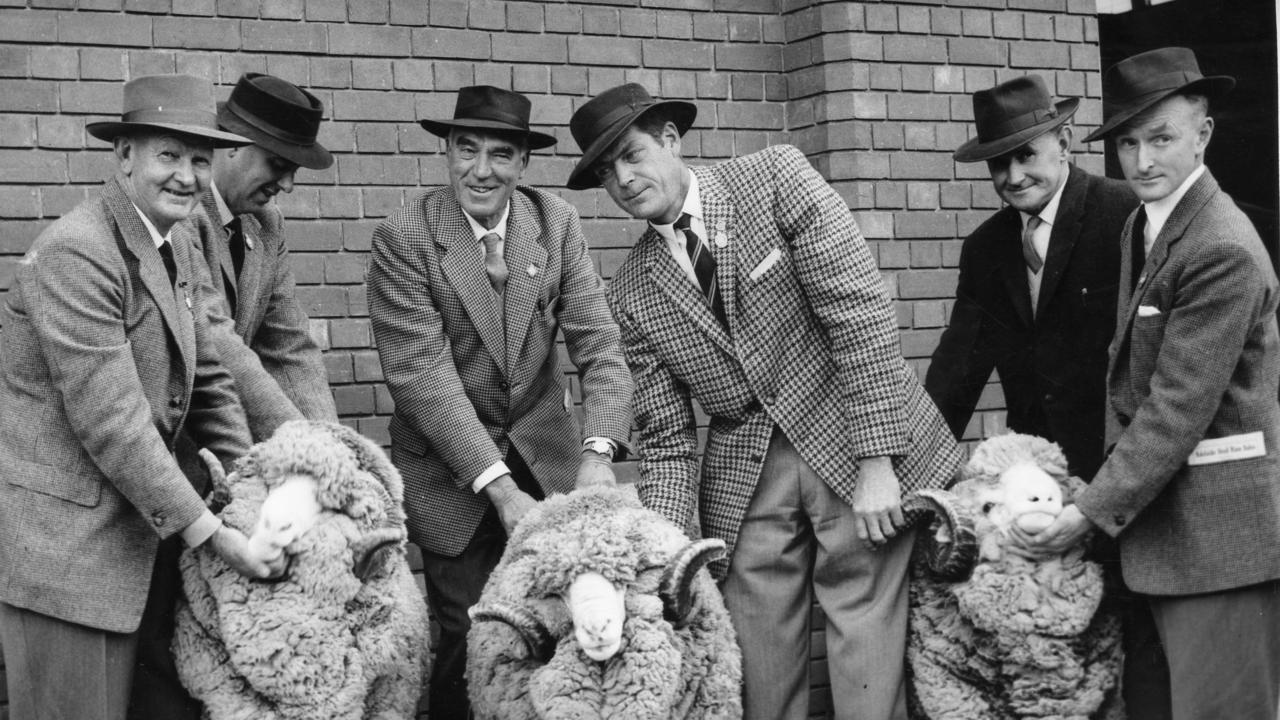 Royal Adelaide show, 1962. Three special stud Merino rams which brought a total price of 24,500 guineas at the Royal Show stud rams sales. From left Mr. J. Murray, of Cappeedee, Hallett, who bought the 3,500-gn. ram; Messrs. R. and A. L. Collins, of John Collins and Sons Ltd. the sellers; Mr K. G. Cook, of Melton Stud, Hallett, buyer of the 8,500-gn ram; Mr R. C. Duncan, of Wentworth, NSW, an unsuccessful bidder for the 12,500-gn ram, and Mr Max Rayner, of The Bluff, Hallett, the successful bidder.