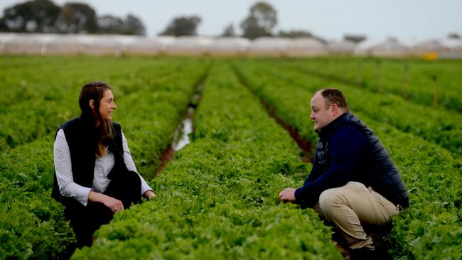 Renee Pye, AUSVEG SA deputy chair with the organisation’s chief executive Jordan Brooke-Barnett. Picture: Sam Wundke