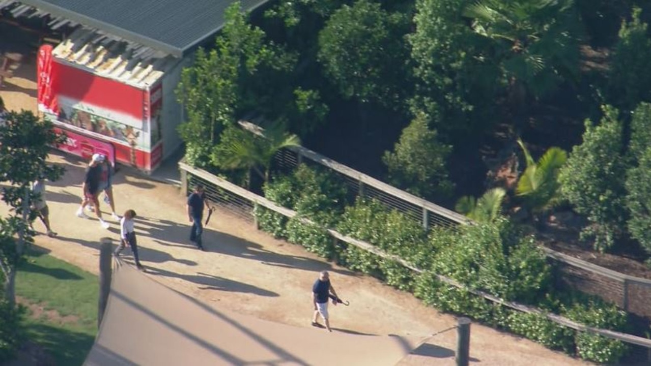 Swift and Kelce were seen sharing a tender kiss as they toured the zoo, which was the second time in two days for the star. Credit: Nine News