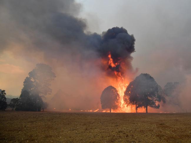 Smoke and flames rise from burning trees as bushfires hit the area around the town of Nowra in the Australian state of New South Wales on December 31, 2019. - Thousands of holidaymakers and locals were forced to flee to beaches in fire-ravaged southeast Australia on December 31, as blazes ripped through popular tourist areas leaving no escape by land. Picture: Saeed Khan/AFP