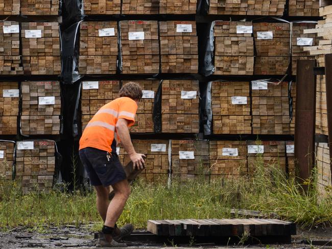 Up to 40 truckloads of wood per week is crossing the Bass Strait headed for Victorian mills. Picture: Dannika Bonser