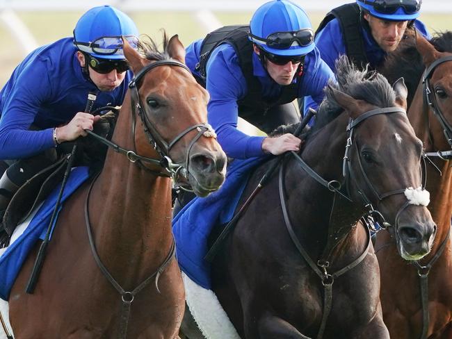 Dream Castle (left) gallops past Red Galileo and Royal Meeting during a track work session at the International Horse Centre at Werribee Racecourse in Melbourne, Monday, October 7, 2019. (AAP Image/Michael Dodge) NO ARCHIVING