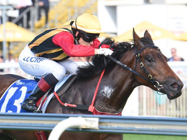 Tegan Harrison pilots Tiyatrolani to victory. Picture: Grant Peters, Trackside Photography