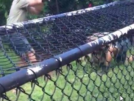 video of a Woman Renee Robertson , 25, attacked by a croc at a North Queensland wildlife sanctuary. Significant arm injuries. Eight people watching the croc show are being treated for shock