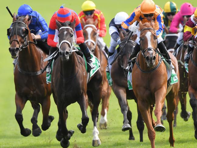 Te Akau Shark (right) takes out the Chipping Nortion Stakes at Royal Randwick in February.