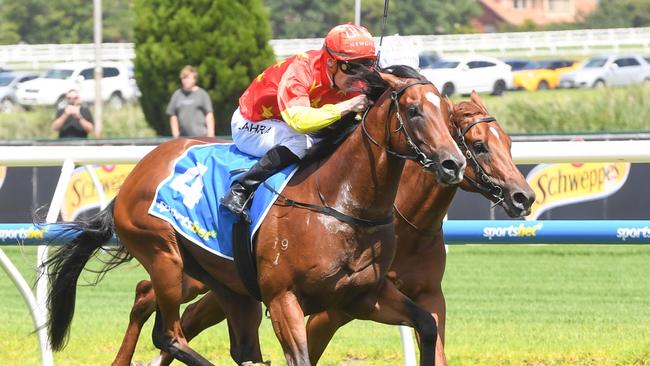 High Octane is nominated for Melbourne and Sydney this weekend but no certainty to resume. Picture: Brett Holburt/Racing Photos via Getty Images