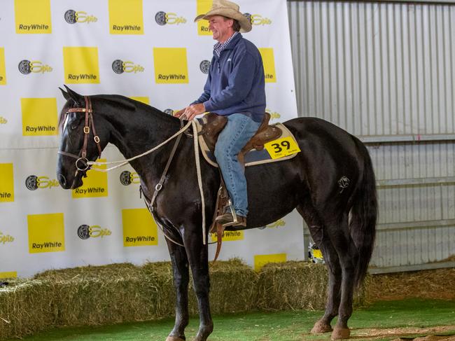 Vendor Warwick Lawrence with the top-selling horse sold via StockLive, Hunter View Rhyme, which made for $27,000 at the Ray White Epic Horse Sale and Campdraft.