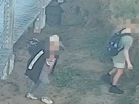 Tasmania Police are continuing to investigate an incident on the foreshore in Burnie on Sunday evening where several youths reportedly mistreated penguins.