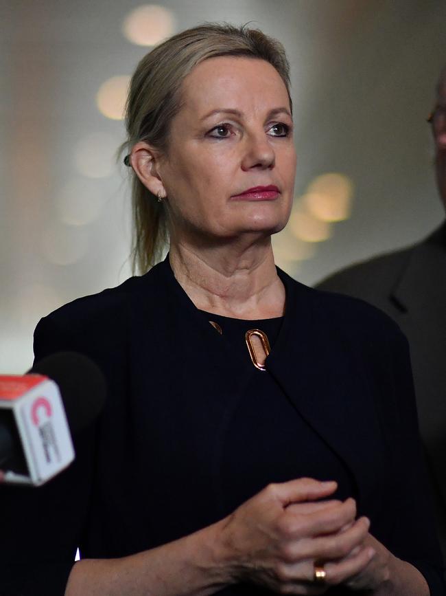 Sussan Ley. Picture: Getty Images