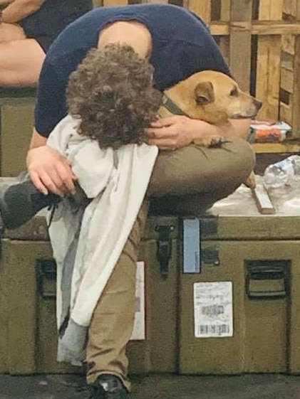 A pooch has a cuddle with its owner on HMAS Choules. Pictures: Kristine Daniels/Facebook