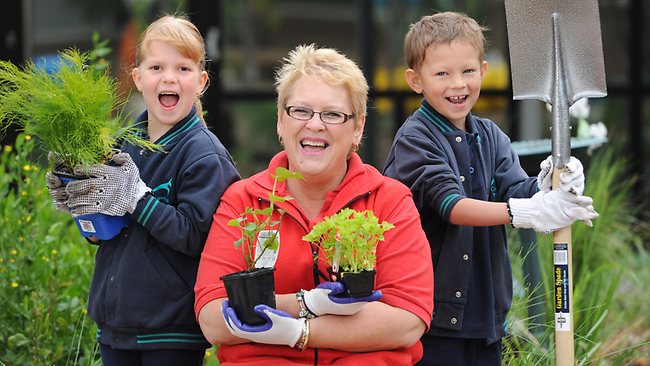 New frog pond among additions to Craigieburn Primary School | Herald Sun