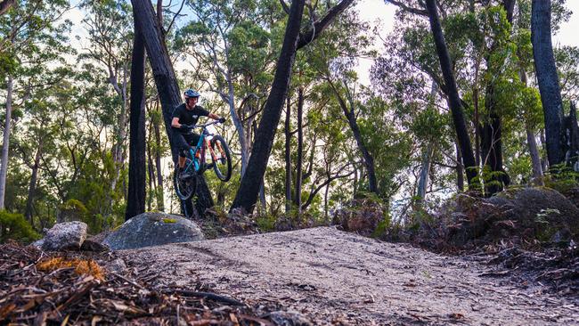 The Bay of Fires Trail has a 42km summit-to-sea descent that starts in subalpine terrain 750m above sea level and ends at Swimcart Beach. Picture: Jacob Tierney (supplied).