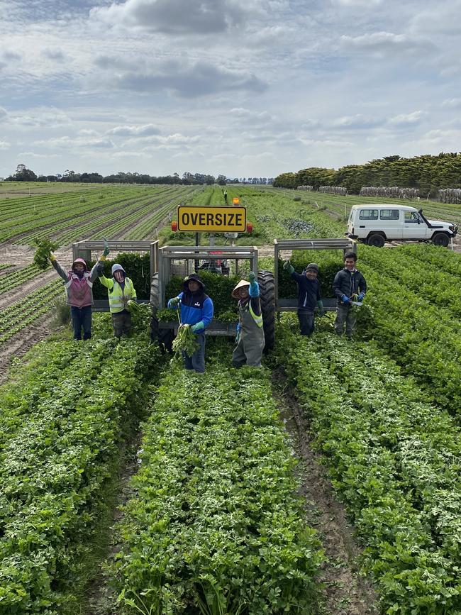 The team at family-owned Corrigan Produce Farms is working tirelessly to keep the nation fed.