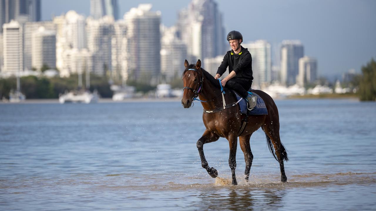 Sydney Cup winner Explosive Jack on Melbourne Cup trail