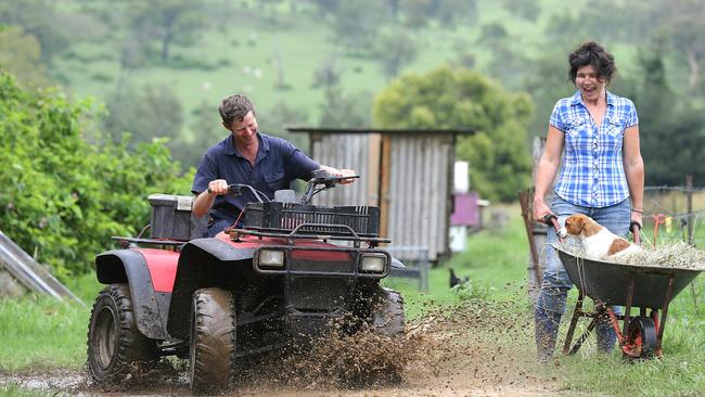 The dams are full and water is everywhere at the Tommerup family farm at Kerry, 21 km south of Beaudesert. Dave Tommerup has fun in the slush while Kay Tommerup tries to avoid the water. (Contact numbers are 0755449269 or 0400076556 ) Picture Glenn Hampson
