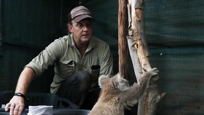 WIRES volunteer Morgan Philpott with koala Kurra Kellie in Kurrajong on Wednesday. Picture: Nikki Short