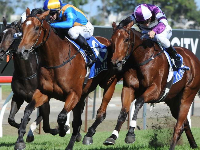 Imposing Lass (middle) proves too powerful in the Gold Coast Bracelet. Picture: Grant Peters, Trackside Photography