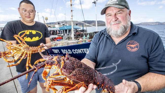 Chinese customer Jackson Ma with Tasmanian rock lobster fisherman Neville Perryman, of Margate. Picture: EDDIE SAFARIK