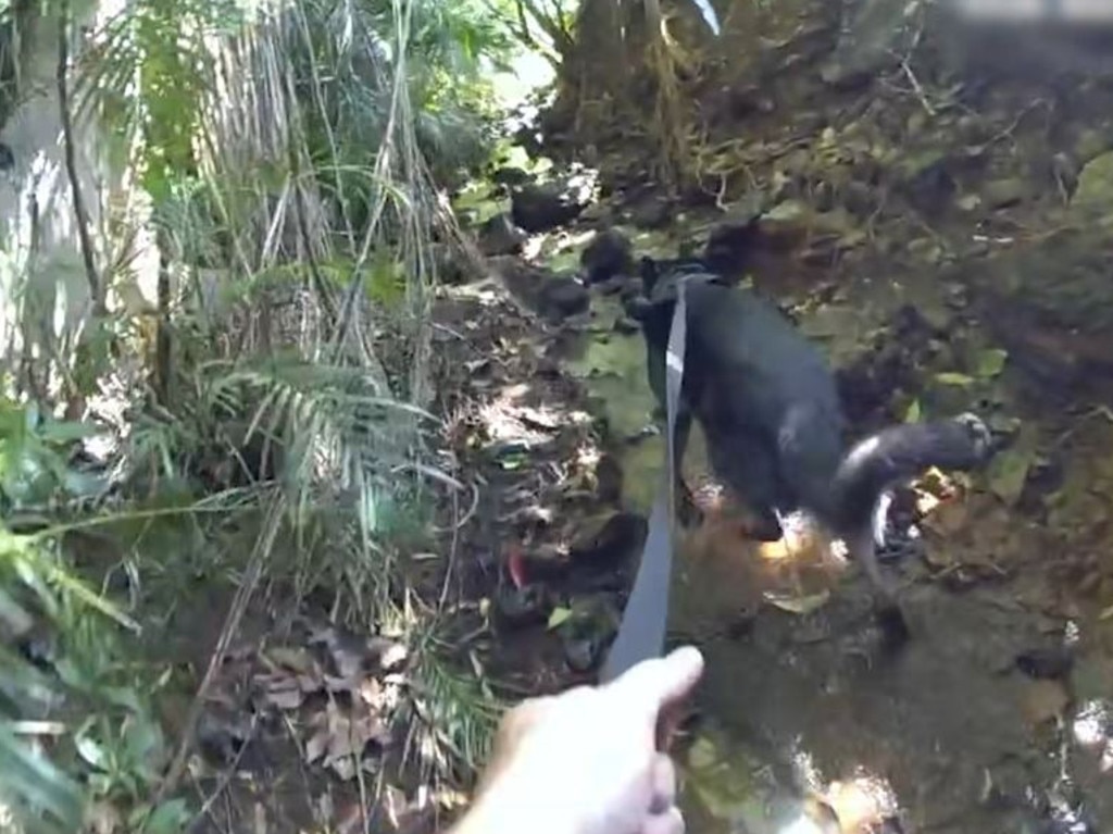 The pair could be seen navigating rough terrain. Picture: Facebook/Police Greater Cairns