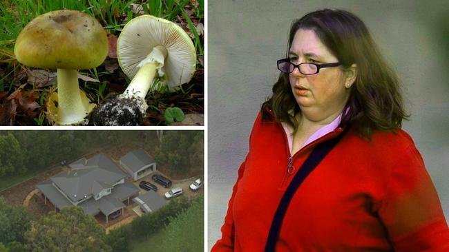 Erin Patterson is standing trial for the murder of three family members and attempted murder of another.