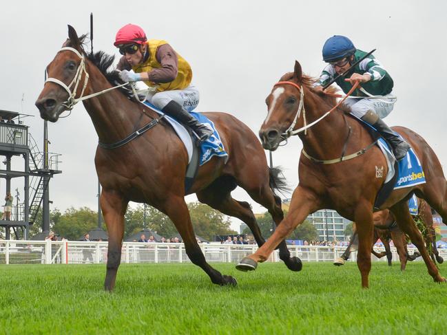 Field Of Play ridden by Blake Shinn wins the Sportsbet Blue Diamond Prelude (C&G) at Caulfield Racecourse on February 08, 2025 in Caulfield, Australia. (Photo by Reg Ryan/Racing Photos via Getty Images)