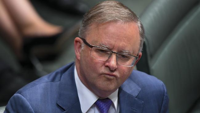 Opposition Leader Anthony Albanese Picture: AAP