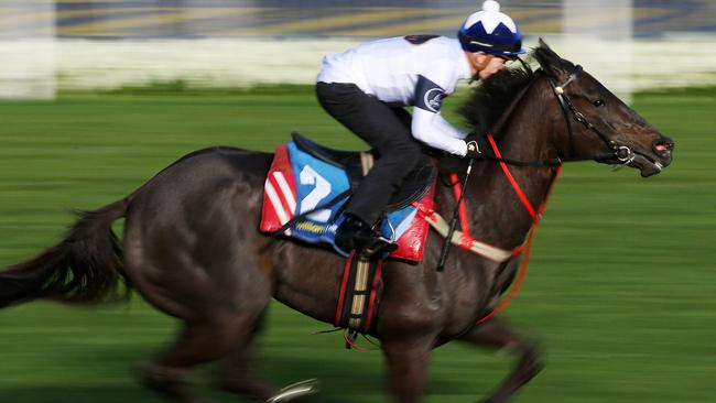 Breakfast with the Best gallops at Moonee Valley. Yankee Rose. Pic: Michael Klein