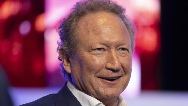 Andrew Forrest’s FFI is a likely contender for funding. Picture: AAP Image/Matt Jelonek