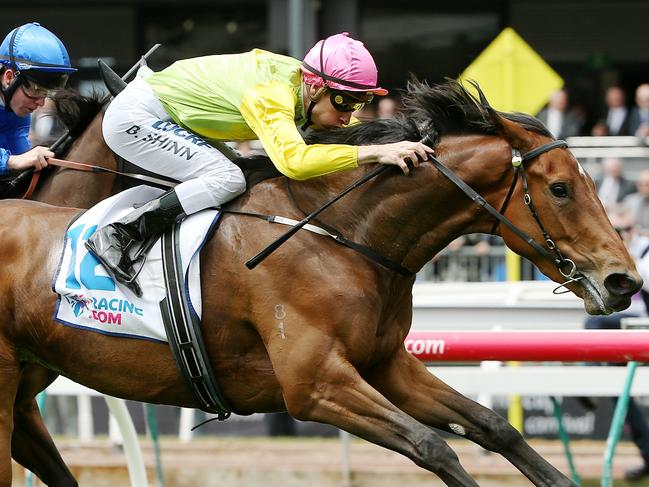 Derby Day Races at Flemington, Race 2 - Wakeful Stakes 2000m, Jockey Blake Shinn onboard Thunder Lady wins from Kerrin McEvoy onboard Abduction. Melbourne. 1st November 2014. Picture : Colleen Petch