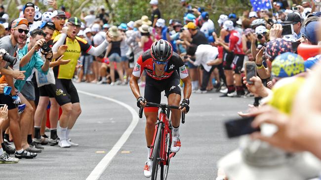 Fans cheer on Richie Porte to victory on Willunga Hill last year. Picture: Tom Huntley