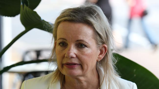 Deputy Liberal leader Sussan Ley says the nation faces ‘the actual collapse of the aged-care system as we know it’. Picture: Britta Campion