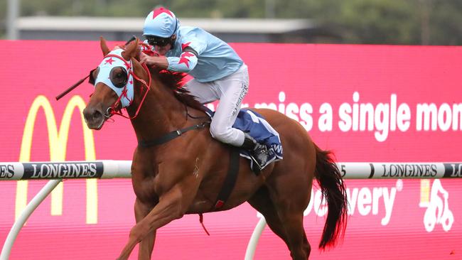 Coal Crusher is one of the leading chances in The Hunter. Picture: Jeremy Ng/Getty Images