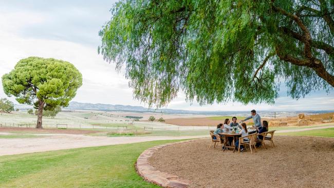 Enjoying lunch at Pindarie Picture: South Australian Tourism Commission/Sven Kovac