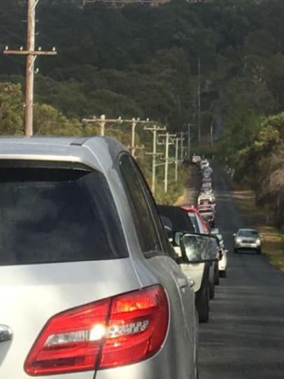 A picture of the queue of cars on Morgan Rd waiting to get on to Forest Way this morning. Picture: Natasha Gatien.