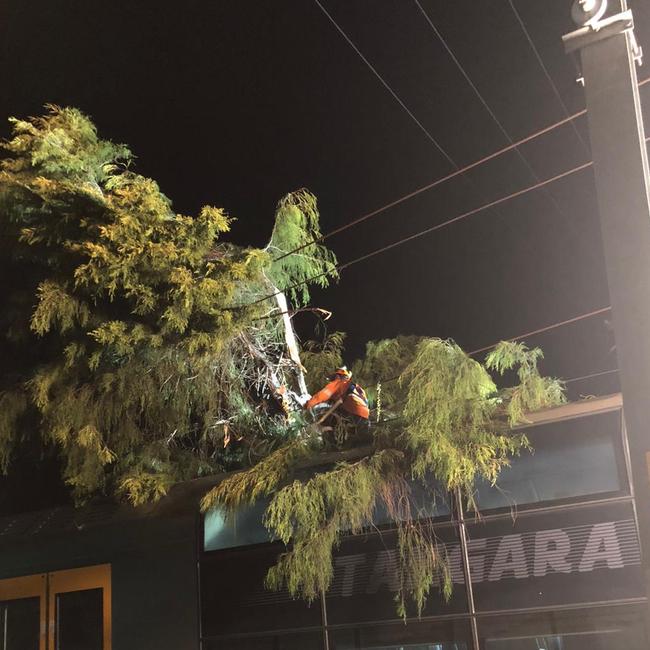 A tree fell on a train between Sutherland and Kirrawee during the violent storm supercell in January 2020. Picture: Sydney Trains