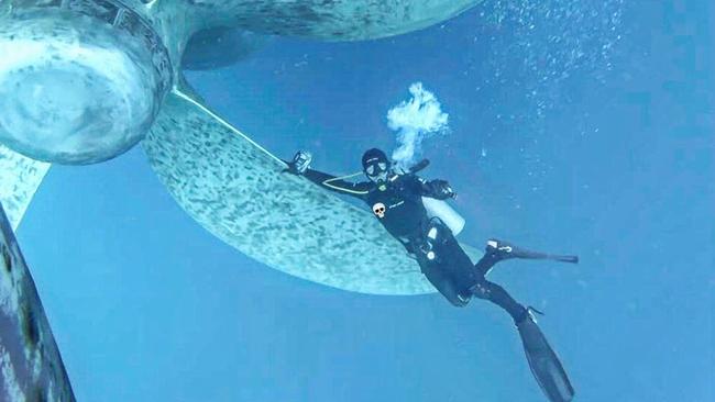 Brazilian diver Bruno Borges under a ship. Picture: Supplied