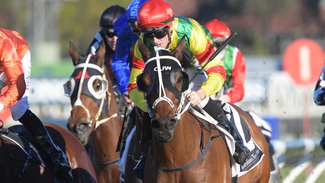 Jay Ford believes Liapari can spring another surprise in the Winter Challenge. Picture: AAP