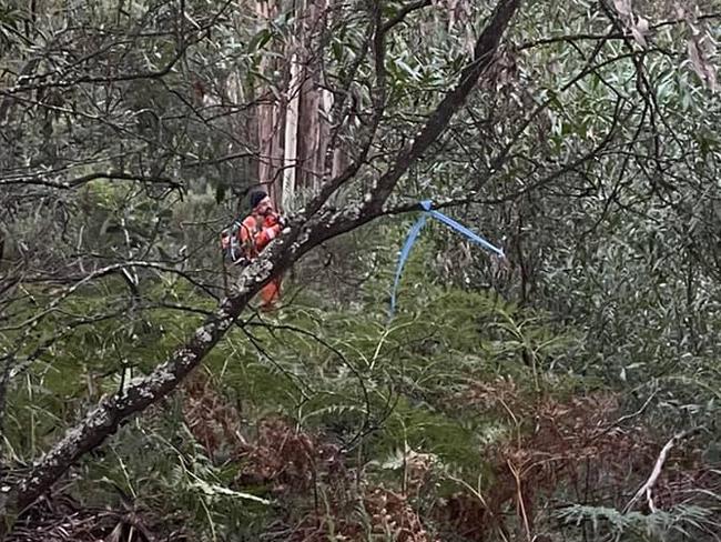 Picture: SES Marysville social media SES Marysville and emergency services attend a Matlock mine shaft to rescue two dogs who plummeted deep into the mine shaft. 22nd May 2022